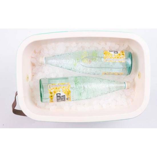 20 Litrów Classic Polarbox Verde 9210